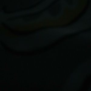 Meet your Posher, Irene